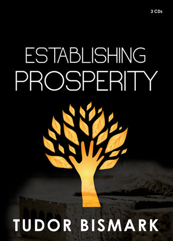 Establishing Prosperity - 3 CD Series