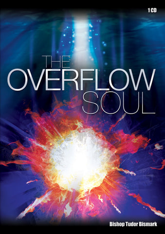 The Overflow Soul - MP3